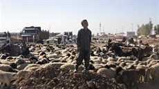 Lidé prchají z Mosulu  (5. listopadu 2016)
