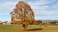 Idylka jak má být. Nad obcí Altreichenau Idylka jak má být. Nad obcí Altreichenau