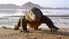 Dokumentární seriál BBC Zázračná planeta 2 Dokumentární seriál BBC Zázračná planeta 2