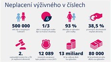 Alimenty dostávají rodie na pl milionu dtí, z toho skoro 39 procent rodi...