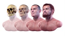 Vědci vytvořili věrnou podobiznu muže, kterého v době vrcholného středověku... Vědci vytvořili věrnou podobiznu muže, kterého v době vrcholného středověku...