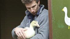 Na husí pečínku se musí čekat od jara až do podzimu. Na husí pečínku se musí čekat od jara až do podzimu.