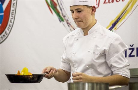 trnáctiletý Denis Linhart chodí do osmé tídy Základní koly Bernarda Bolzana...