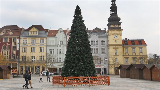 Vánoní strom budou mít letos Ostravané umlý. Radnice si slibuje úspory i...
