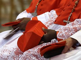 Noví kardinálové dostali od papee Frantika typickou pokrývku hlavy - ervený...