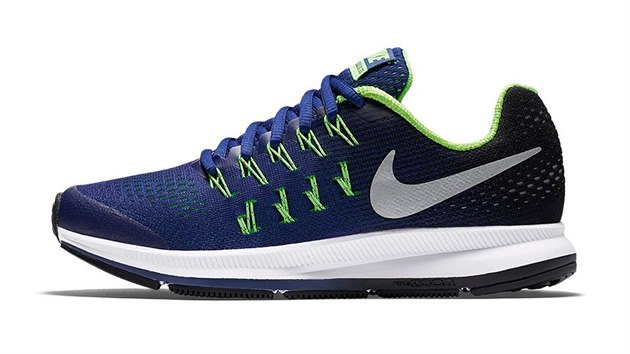 Nike Air Zoom Pegasus 33