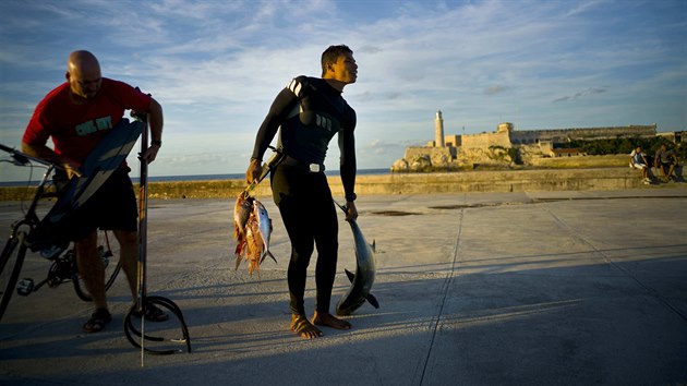 Rybi v Havan potebuj dostat svou nvnadu daleko od behu.