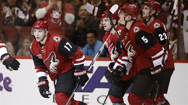 Radim Vrbata (vlevo) se spoluhri pot, co skroval v zpase s Winnipegem.