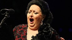 Festival Petra Dvorského v zámecké zahradě v Jaroměřicích nad Rokytnou (7.... Festival Petra Dvorského v zámecké zahradě v Jaroměřicích nad Rokytnou (7....