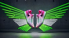 Nike Pegasus Nike Pegasus