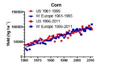 Porovnání výnosu kukuice v Evrop a USA bhem posledních 50 let ve studii...