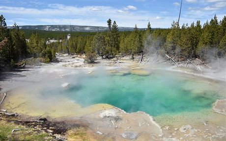 Termální pramen v oblasti Norrisova gejzíru v Yellowstonském národním parku...