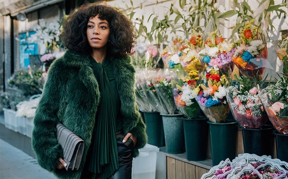 Zpvaka Solange Knowles v modelu Michaela Korse