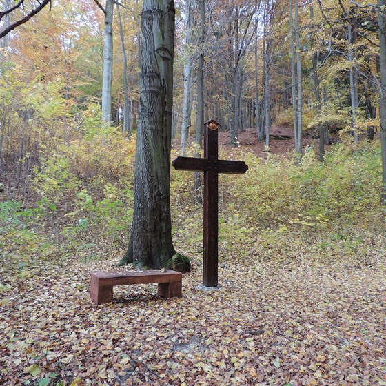 Turistická stezka v Modlivém dole u Svojkova na eskolipsku je po oprav hezí.