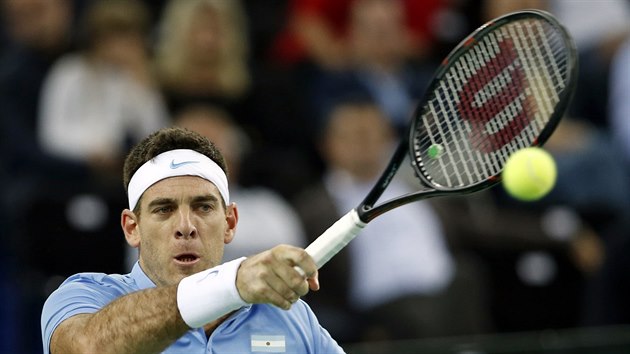 Argentinsk tenista Juan Martn Del Potro ve finle Davis Cupu