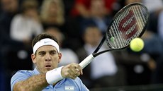 Argentinský tenista Juan Martín Del Potro ve finále Davis Cupu