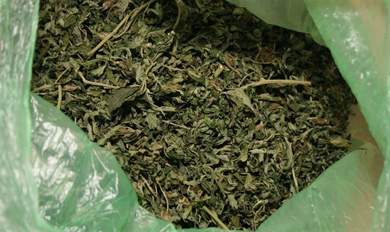 Marihuana (ilustraní snímek).