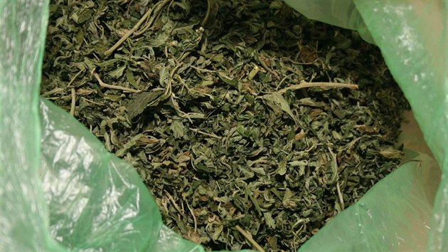Policist na Rychnovsku zadreli pi domovnch prohldkch marihuanu za milion korun.