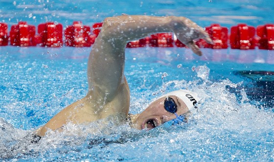 Katinka Hosszúová na dlouhé polohovce na na mistrovství svta v krátkém bazénu...