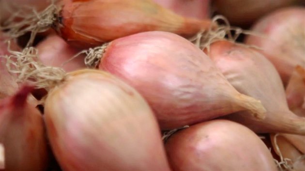alotka je daleko jemnj ne kuchysk cibule, proto se pouv hlavn do jemnch pokrm, kde by mla vyniknout chu zkladnch surovin.
