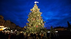 Vítzný vánoní strom na námstí Republiky v Plzni. 