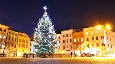 Vítzný vánoní strom na námstí Republiky v Plzni. 