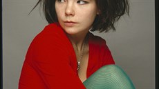 Zamylená Björk v dob svých zaátk s kabelou The Sugarcubes.