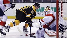 David Pastrák z Bostonu v anci, branká Floridy Roberto Luongo mu puk...