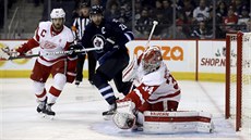 Branká Detroitu Petr Mrázek zasahuje v utkání proti Winnipegu.