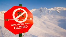Policie zničili hackerskou platformu zvanou Avalanche (anglicky „lavina“),... Policie zničili hackerskou platformu zvanou Avalanche (anglicky „lavina“),...