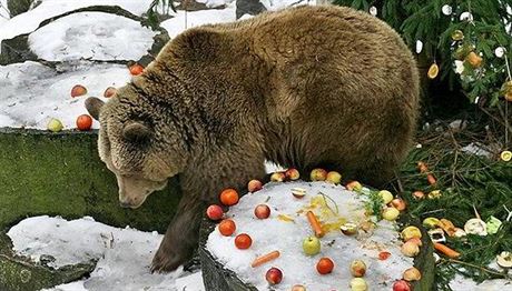 Medvdí vánoce v eském Krumlov zkrátí rodinám s dtmi ekání na Jeíka.