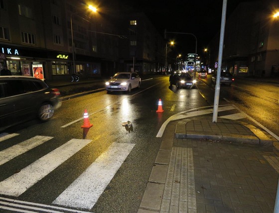 idika srazila dívky na pechodu v hradecké Goárov ulici (11.12.2016).