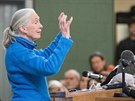 Jane Goodallov bhem pednky pro kolegy vdce, ty zaslouil i ty nejmlad,...