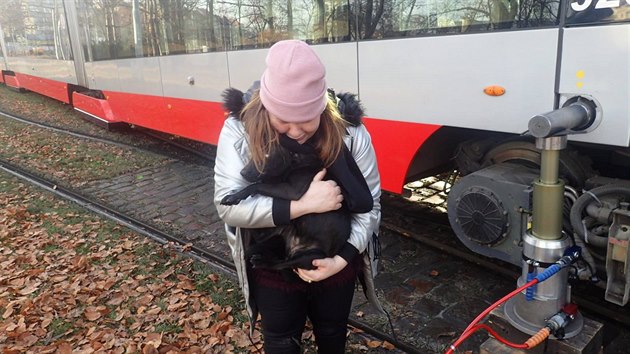 Hasii spolu se zvecmi zchrani zasahovali u psa, kter vbhl pod rozjetou tramvaj (13.12.2016).