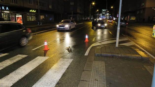 idika srazila dvky na pechodu v hradeck Gorov ulici (11.12.2016).