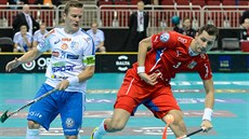 Momentka ze semifinále mistrovství světa Česko - Finsko Momentka ze semifinále mistrovství světa Česko - Finsko