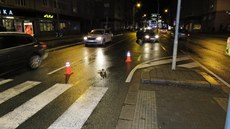 Řidička srazila dívky na přechodu v hradecké Gočárově ulici (11.12.2016). Řidička srazila dívky na přechodu v hradecké Gočárově ulici (11.12.2016).