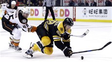 David Pastrňák (vpravo) z Bostonu padá po souboji se Samim Vatanenem z Anaheimu. David Pastrňák (vpravo) z Bostonu padá po souboji se Samim Vatanenem z Anaheimu.