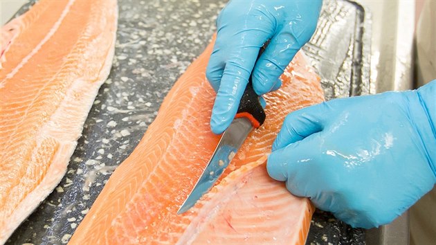 V Blatn zpracovvaj lososy z Norska i jihoesk kapry. Na snmku je filetovn norskho lososa.