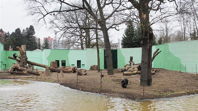 Plzesk zoologick zahrada otevela opraven a rozen venkovn vbh impanz. (23. prosince 2016)