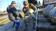 Luboš Benedik (vlevo) a Jiří Frydrych prodávají ryby u krnovského Petrova... Luboš Benedik (vlevo) a Jiří Frydrych prodávají ryby u krnovského Petrova...