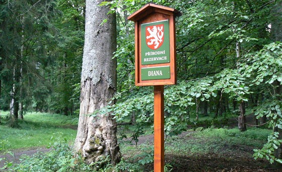 Rezervace Diana v eském lese.