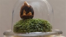 V křížové chodbě kostela svatého Michala v Olomouci je k vidění výstava více... V křížové chodbě kostela svatého Michala v Olomouci je k vidění výstava více...