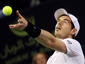 Andy Murray servruje ve finle turnaje v Dauh.