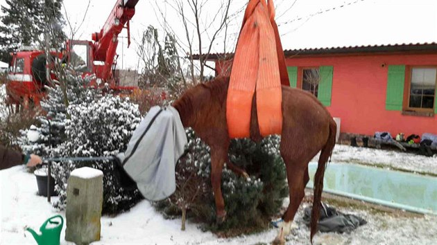 K skonil v chladn vod zahradnho baznu. Ven ho dostali hasii s pomoc jebu.