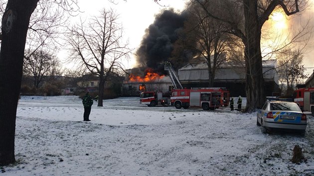 Krtce po jedenct dopoledne vyjely tyi jednotky hasi k poru dlny na ostrov tvanice (5.1.2017)