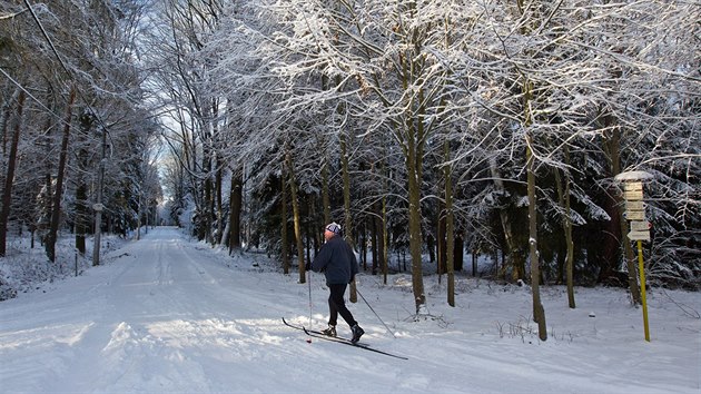 Dky prodnmu snhu vyrazili lid do hradeckch les na bkch (6.1.2017).