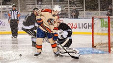 Momentka z utkání AHL mezi Bakersfield Condors a Ontario Reign, které se dvě... Momentka z utkání AHL mezi Bakersfield Condors a Ontario Reign, které se dvě...