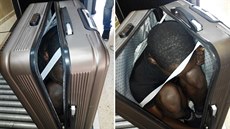 Policie v enklávě Ceuta před pár dny zadržela muže, který se do Španělska... Policie v enklávě Ceuta před pár dny zadržela muže, který se do Španělska...
