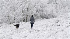 Pívaly snhu zaznamenali také v Nmecku (3. ledna 2017)